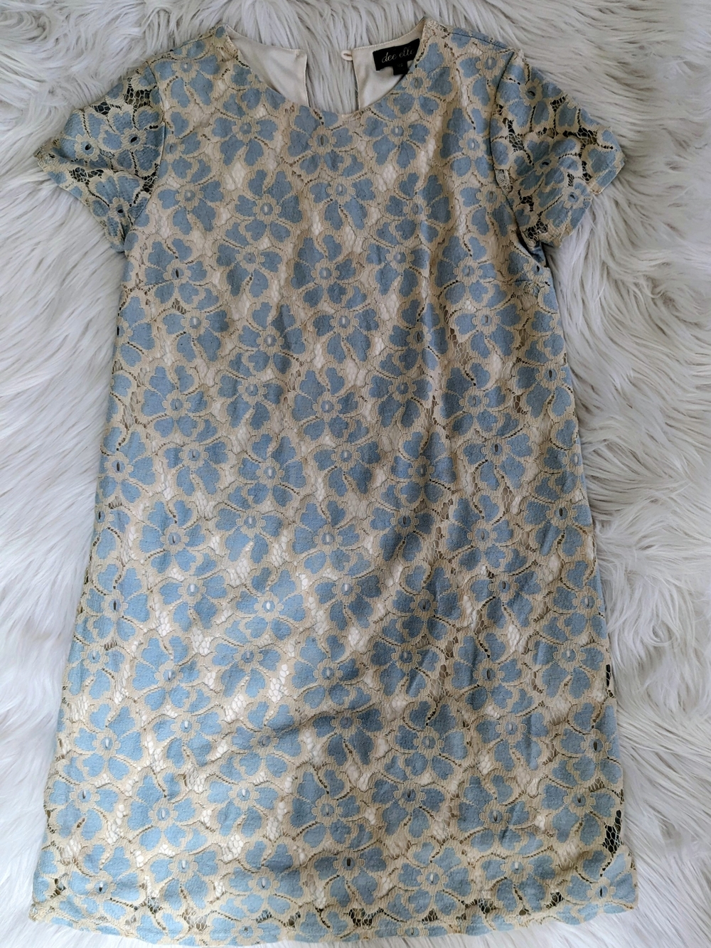 dee elle Blue & Cream Floral Lace Mini Dress